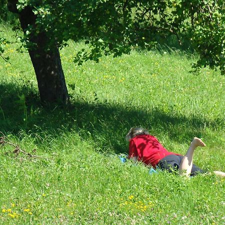Apartament Buchgrabenhof Windisch Minihof Zewnętrze zdjęcie